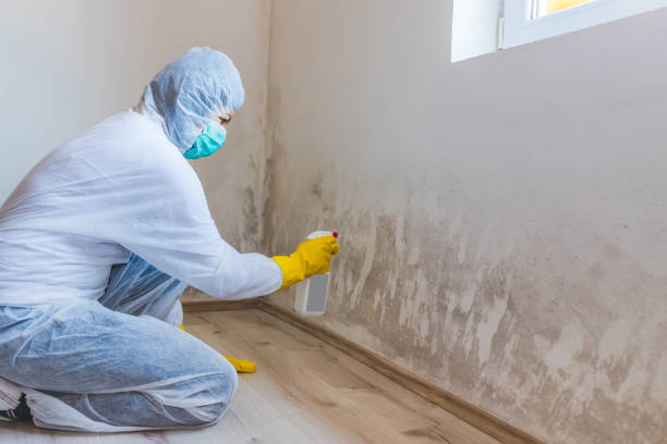 Hvac And Air Duct Mold Remediation inspection of HVAC system in Leonardtown